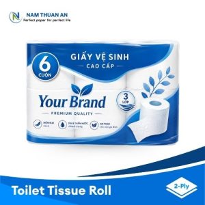 Premium 2 Ply High Quality Kitchen Paper Towel Roll Durable Sanitary Hand And Toilet Tissue (1)